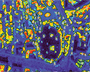 The formation of a geodatabase for sectoral scheme of landscaping of the city of Moscow