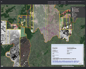 Satellite images provision for state forest inventory