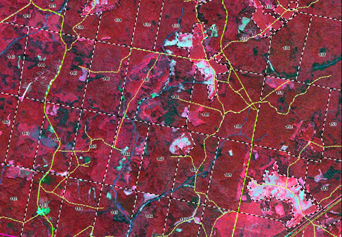 Fragment of RapidEye image (RGB synthesis)