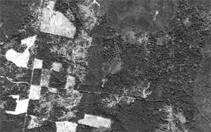 SPOT 5 satellite image