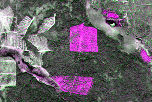 Multitemporal composite satellite image (high resolution)