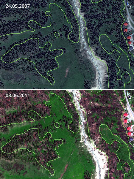 Results of windfalls detection (hurricane damage), natural park "Medeu" (Kazakhstan)