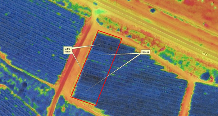 Multispectral image