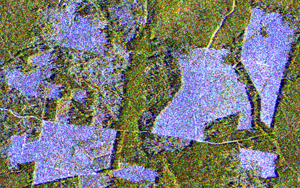 COSMO SkyMed satellite image