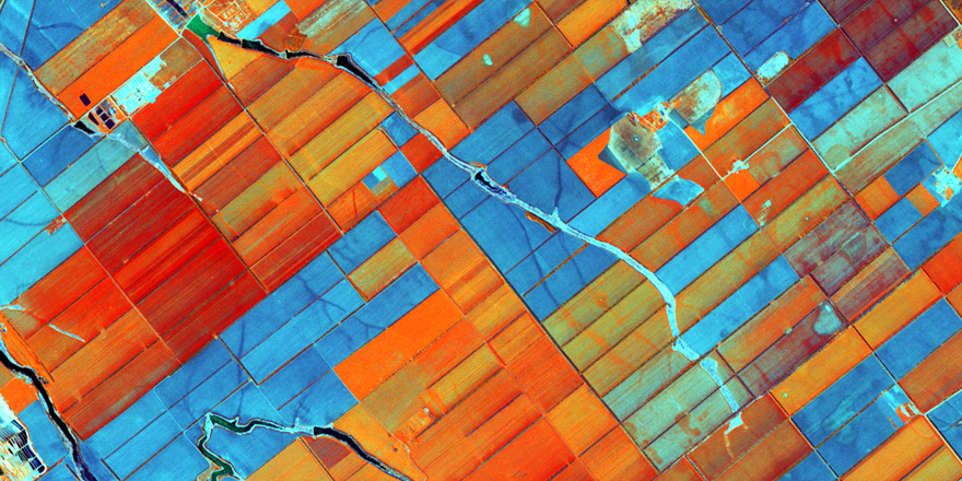 Sown areas in Krasnodar Krai. RapidEye image, 5 m