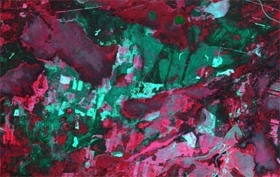 Large area damaged by fire (2230 ha) is colored with green