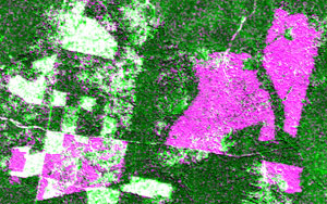 Multitemporal composite acquired from SPOT-5 and COSMO SkyMed images