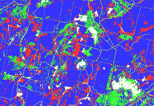 Results of forest classification (dominant types: coniferous / deciduous / non forest area)