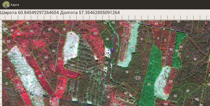 Window of the Unit "Navigation, the plan of afforestation"