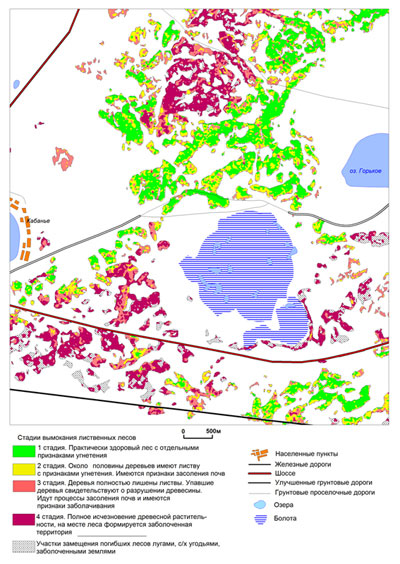 Map of damaged deciduous forests at different stages of degradation
