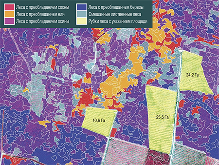Dominated forest trees