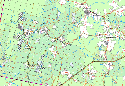 Navigation forest map
