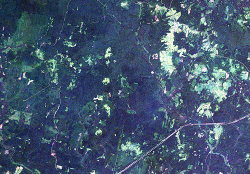 Fragment of RapidEye image (RGB synthesis)