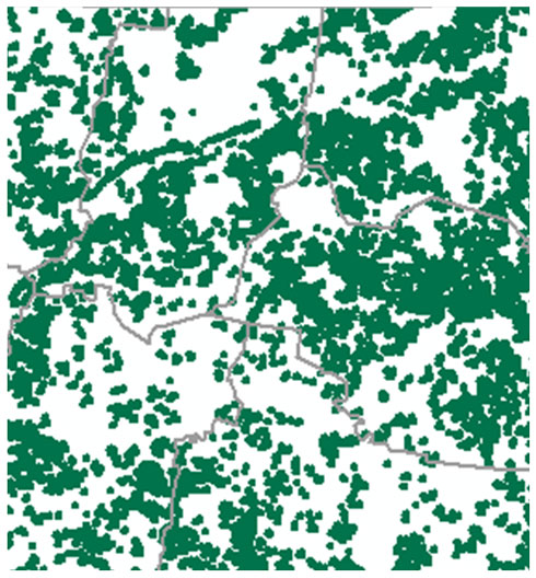Eastern part of Vologda Region 97,000 hа; 27% of area