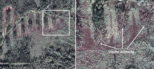 Example of logging regulations violation &ndash; undergrowth is not preserved in most parts of felling area