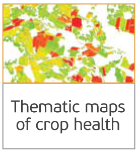 thematic_maps.png