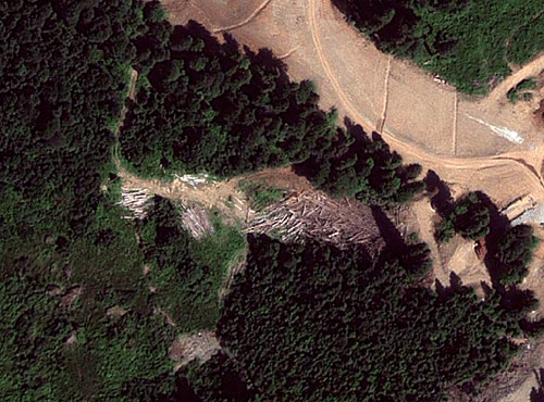 Illegal forestry dump within protected area