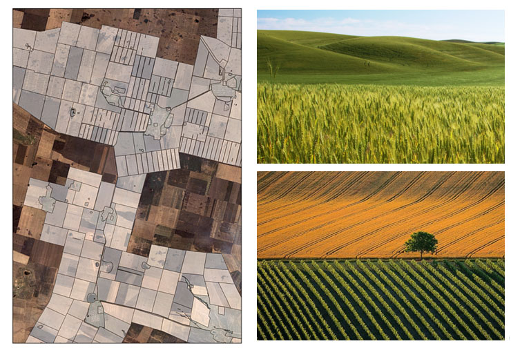Geoanalitika.AGRO: actual boundaries of agricultural fields