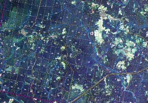 Basic map layers vectorized by satellite image