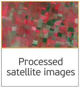 processed.png