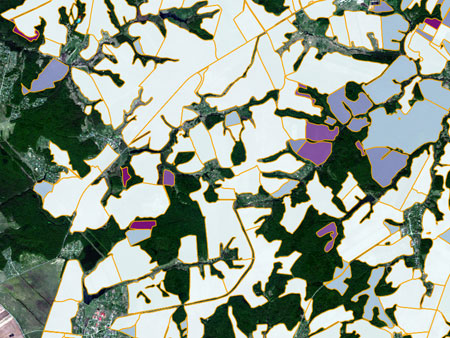 Abandoned agricultural land map