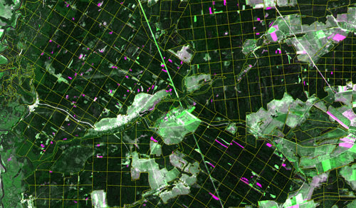 Multitemporal composite satellite image (medium resolution)