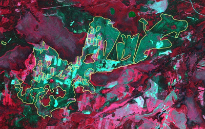 Contour of burnt areas obtained automatically